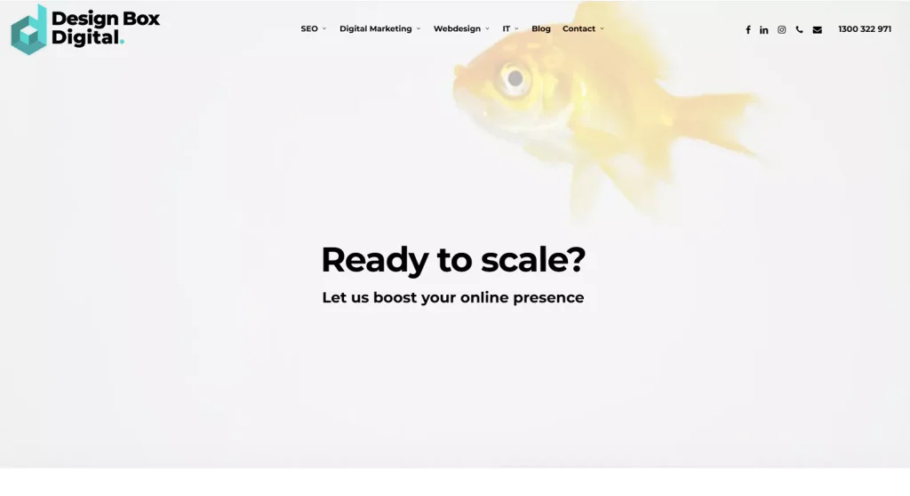 search engine optimization melbourne