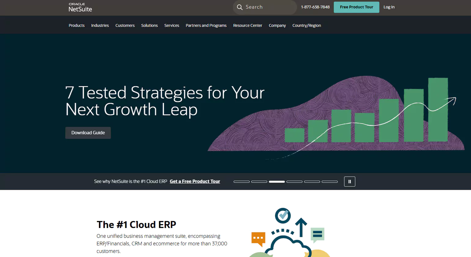 Netsuite- inventory management services