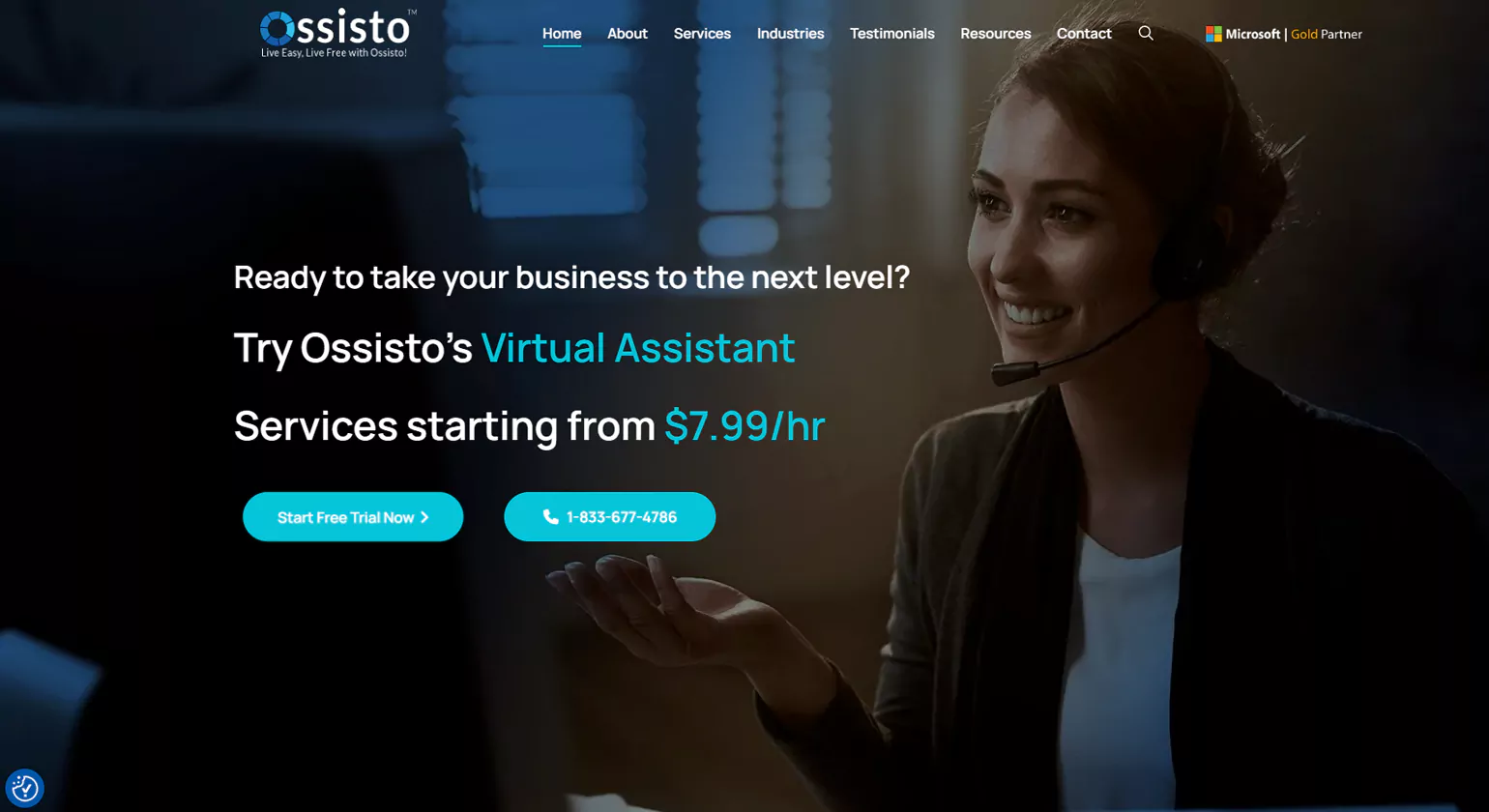image annotation services - ossisto