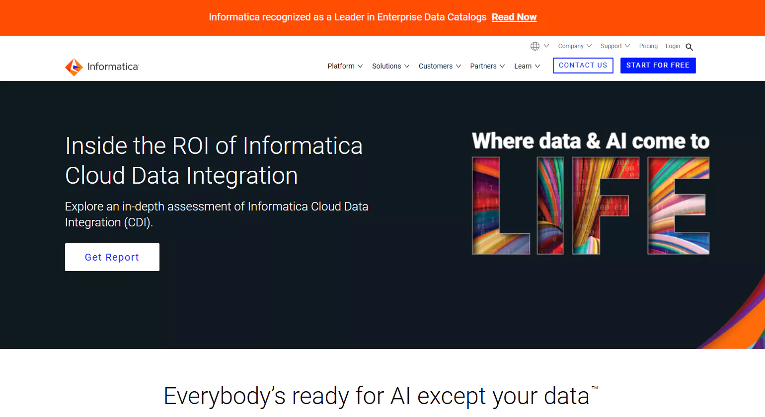 informatica data cleansing companies