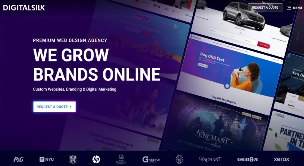 Digital Silk – Performance-Driven B2B Branding