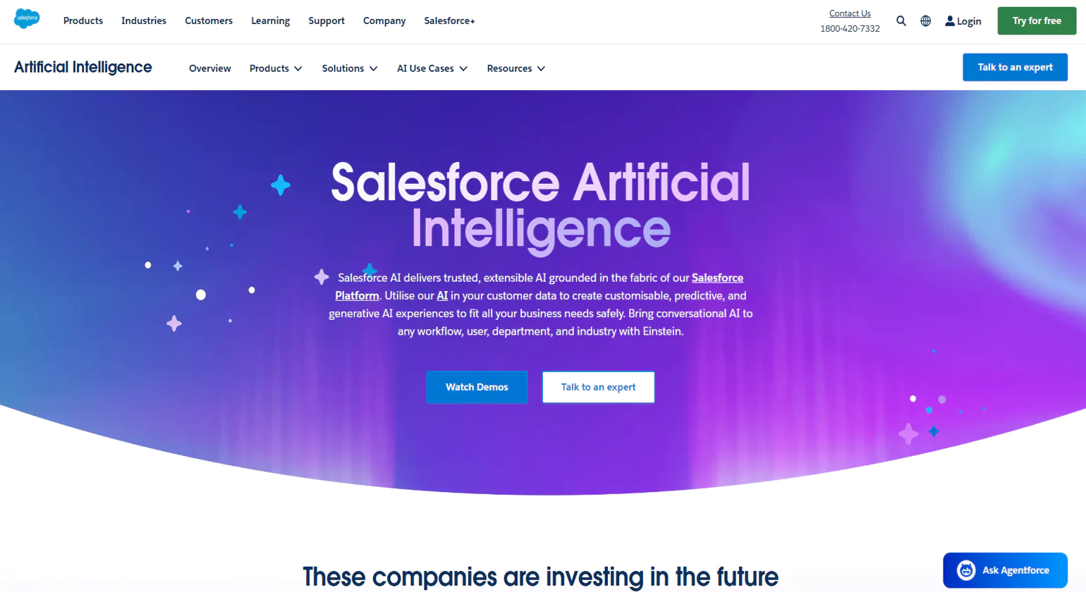Salesforce Einstein