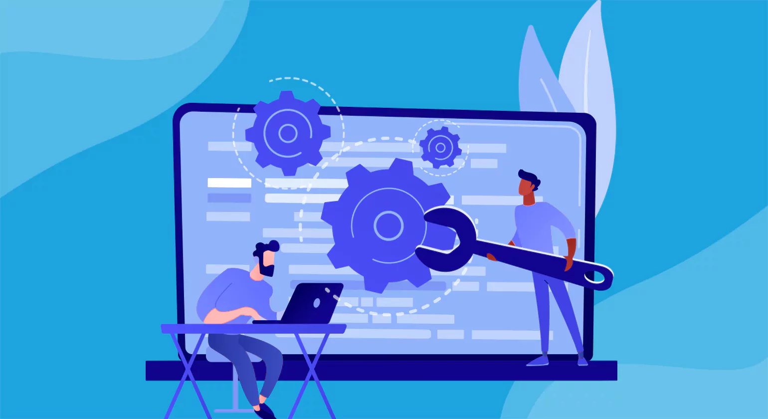 When Do You Need Software Customization