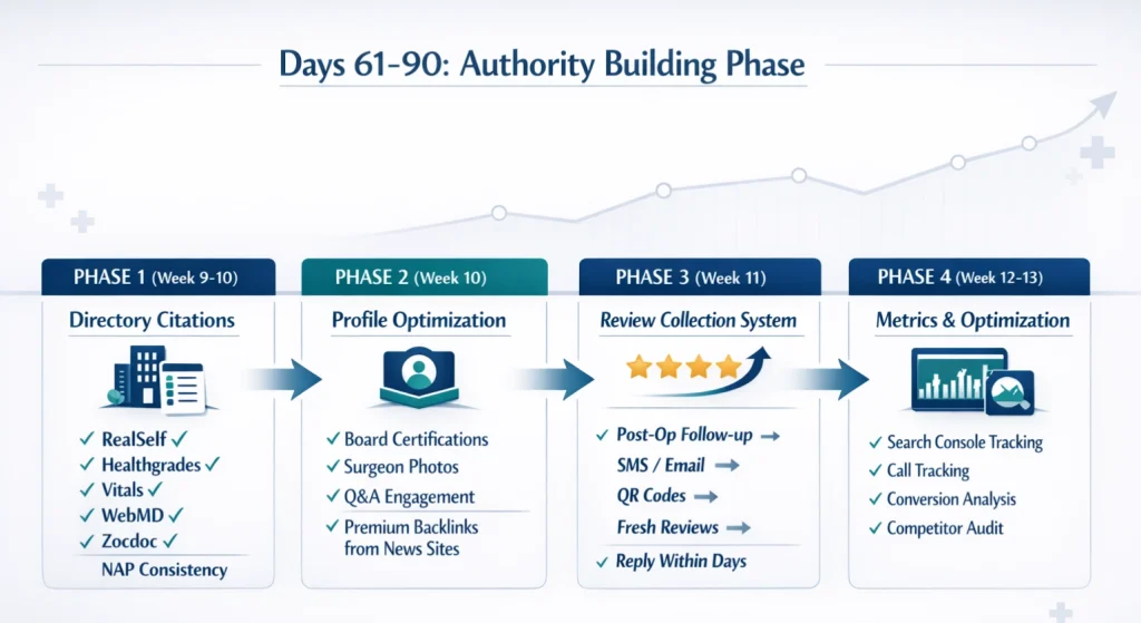 Infographic showing SEO Authority Building Phase