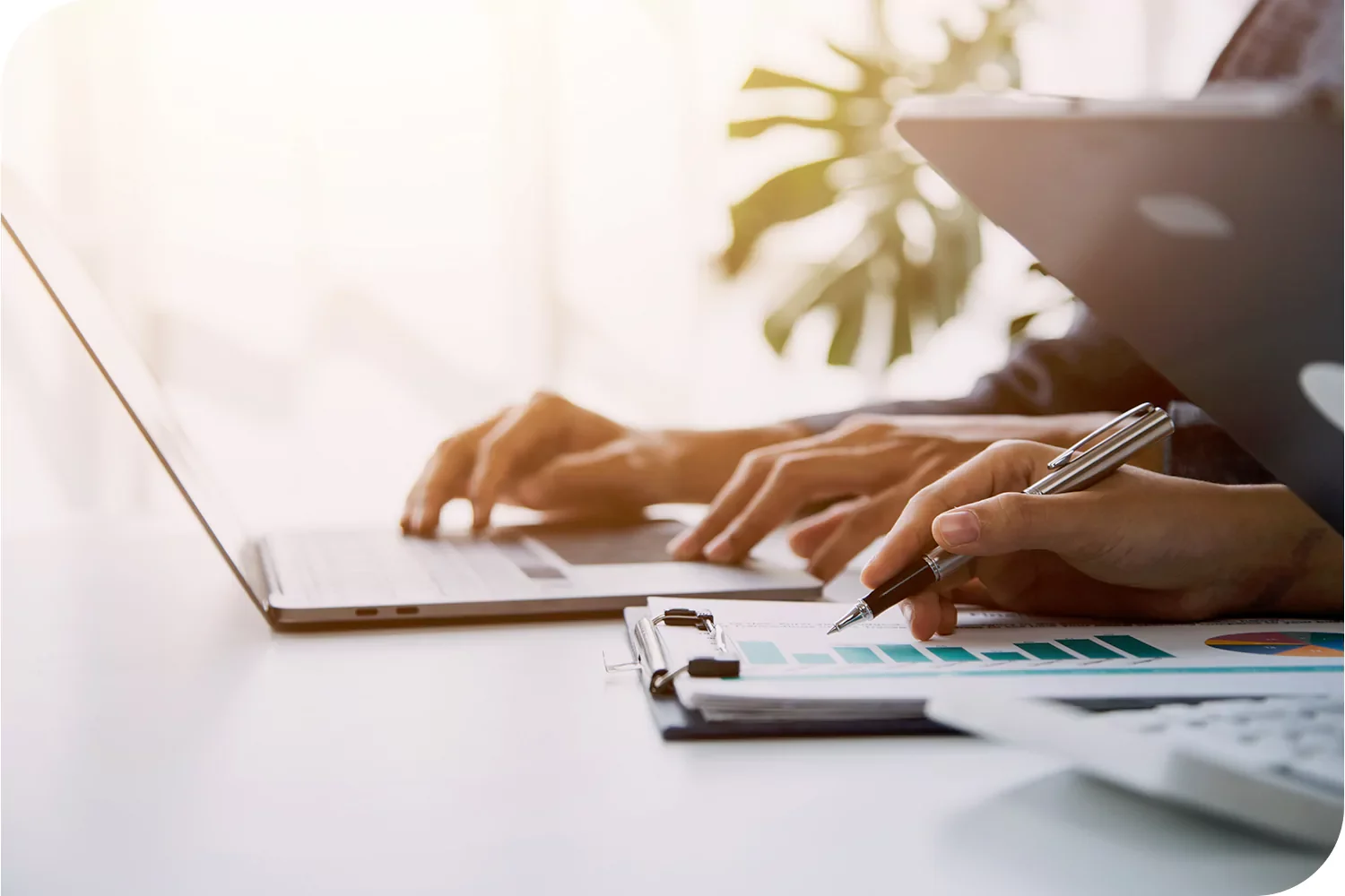 Discover Our White Label PPC Services