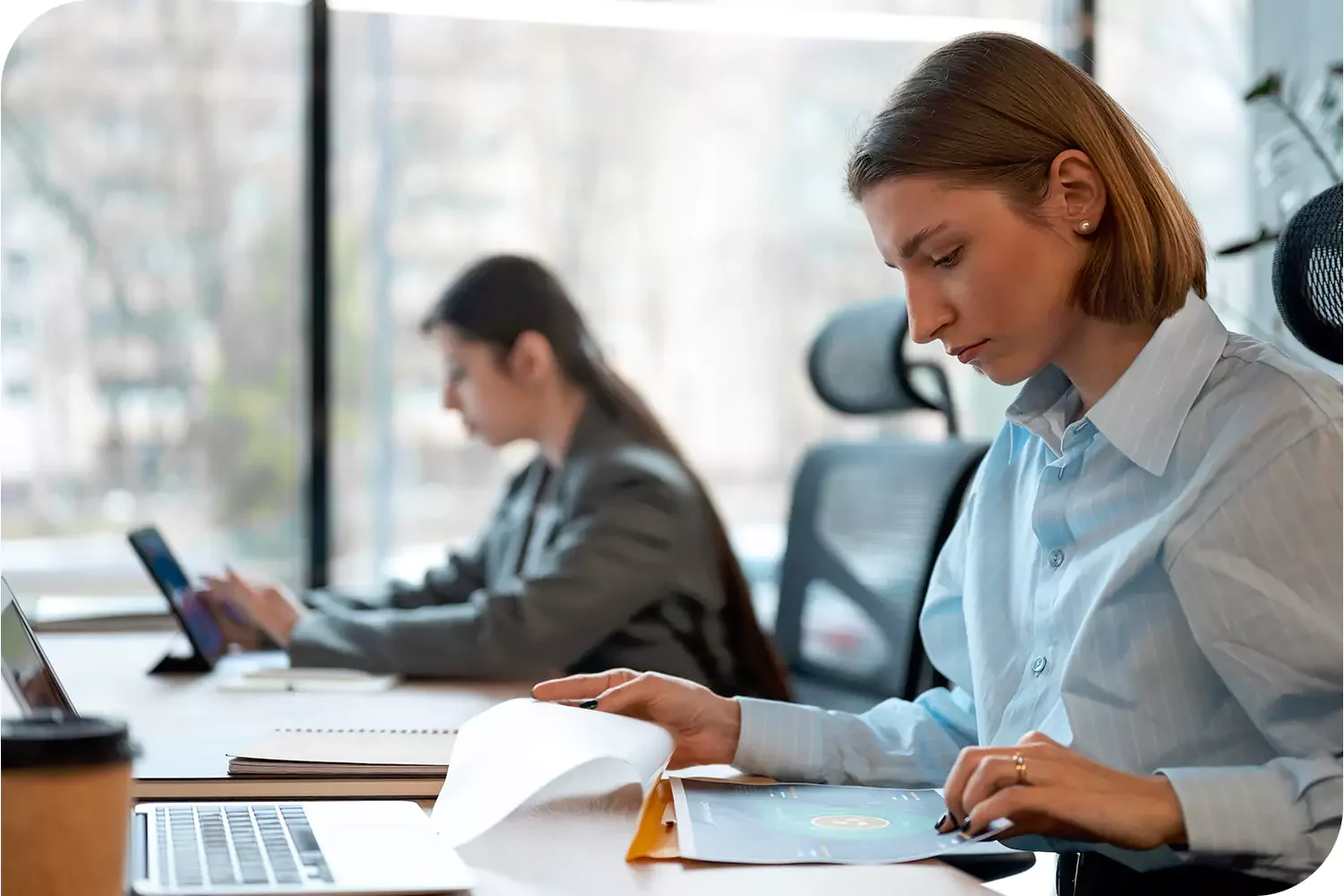 Website Audit services